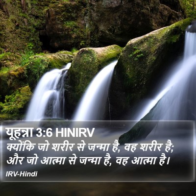यूहन्ना 3:6 HINIRV Bible Verse Image