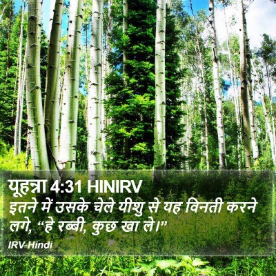 यूहन्ना 4:31 HINIRV Bible Verse Image