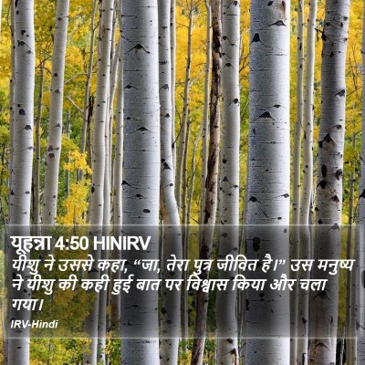 यूहन्ना 4:50 HINIRV Bible Verse Image