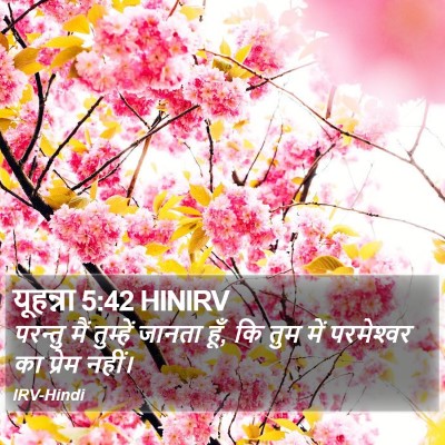 यूहन्ना 5:42 HINIRV Bible Verse Image