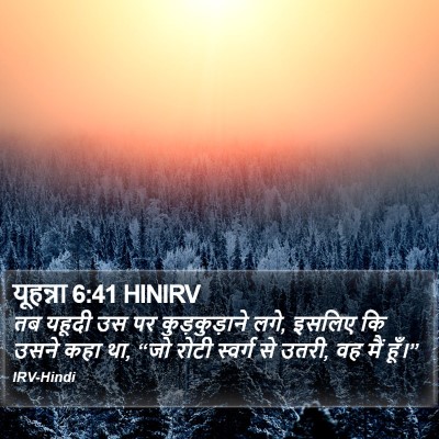 यूहन्ना 6:41 HINIRV Bible Verse Image