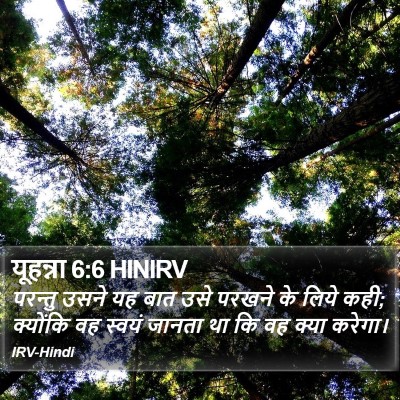 यूहन्ना 6:6 HINIRV Bible Verse Image