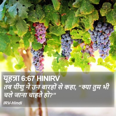 यूहन्ना 6:67 HINIRV Bible Verse Image