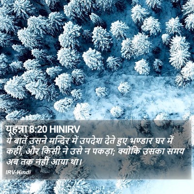 यूहन्ना 8:20 HINIRV Bible Verse Image