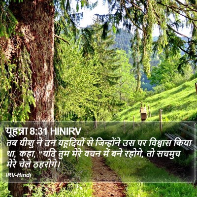यूहन्ना 8:31 HINIRV Bible Verse Image