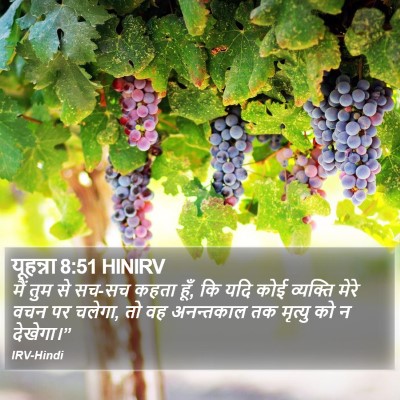 यूहन्ना 8:51 HINIRV Bible Verse Image