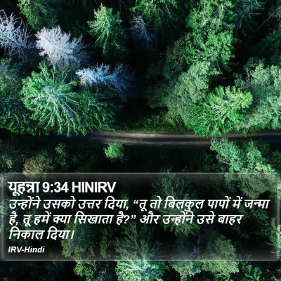 यूहन्ना 9:34 HINIRV Bible Verse Image
