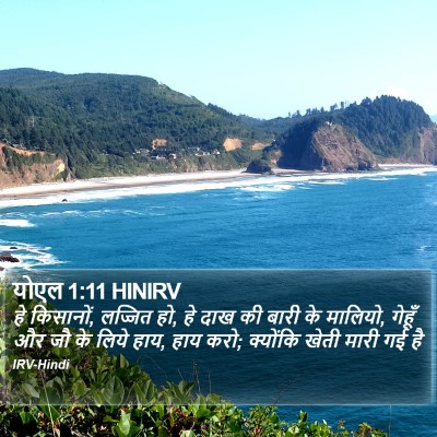 योएल 1:11 HINIRV Bible Verse Image