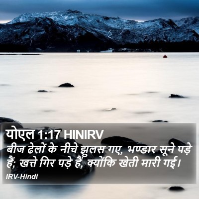 योएल 1:17 HINIRV Bible Verse Image
