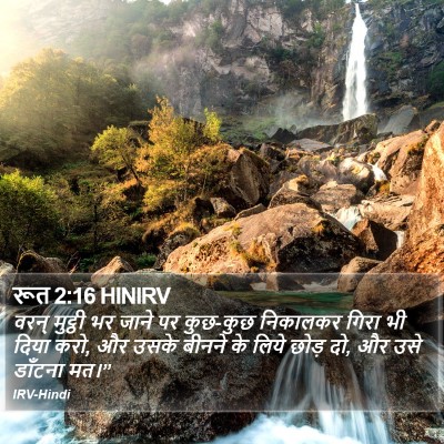 रूत 2:16 HINIRV Bible Verse Image