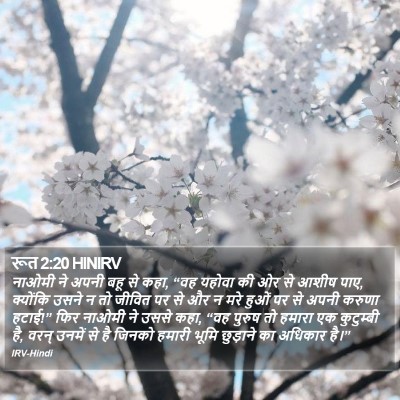 रूत 2:20 HINIRV Bible Verse Image