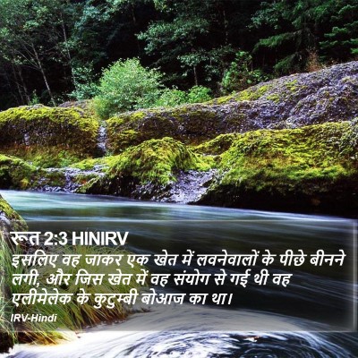 रूत 2:3 HINIRV Bible Verse Image