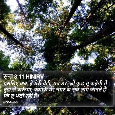 रूत 3:11 HINIRV Bible Verse Image