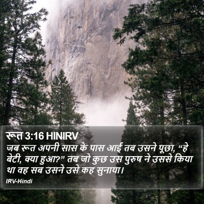रूत 3:16 HINIRV Bible Verse Image