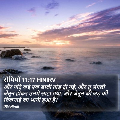 रोमियों 11:17 HINIRV Bible Verse Image