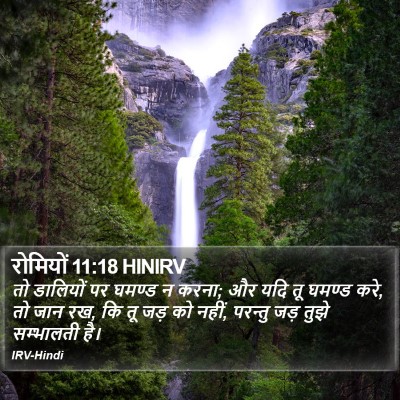 रोमियों 11:18 HINIRV Bible Verse Image
