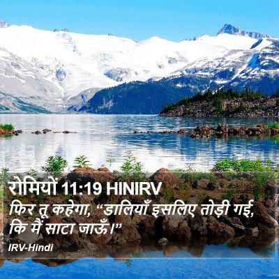 रोमियों 11:19 HINIRV Bible Verse Image