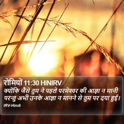 रोमियों 11:30 HINIRV Bible Verse Image