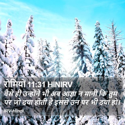 रोमियों 11:31 HINIRV Bible Verse Image