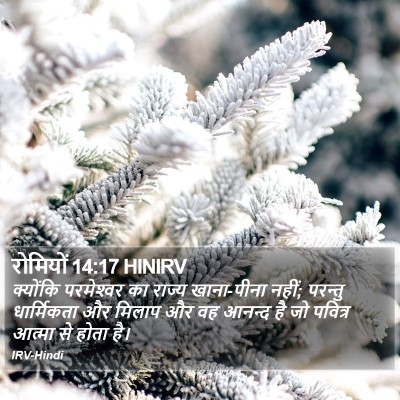 रोमियों 14:17 HINIRV Bible Verse Image