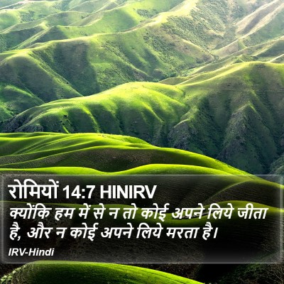 रोमियों 14:7 HINIRV Bible Verse Image