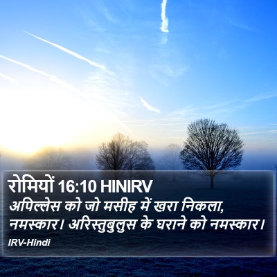 रोमियों 16:10 HINIRV Bible Verse Image
