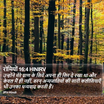 रोमियों 16:4 HINIRV Bible Verse Image