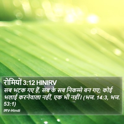 रोमियों 3:12 HINIRV Bible Verse Image