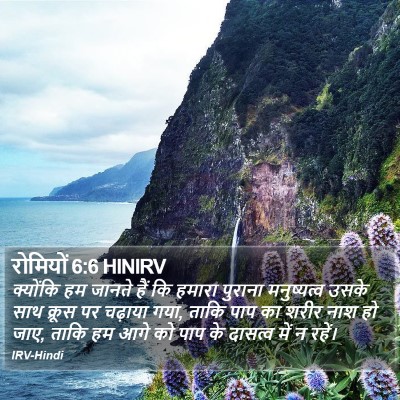 रोमियों 6:6 HINIRV Bible Verse Image