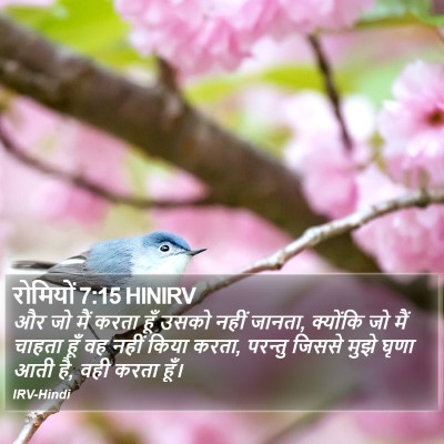 रोमियों 7:15 HINIRV Bible Verse Image