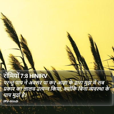 रोमियों 7:8 HINIRV Bible Verse Image