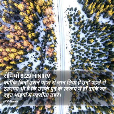 रोमियों 8:29 HINIRV Bible Verse Image