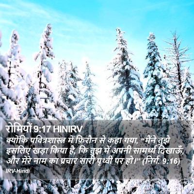 रोमियों 9:17 HINIRV Bible Verse Image