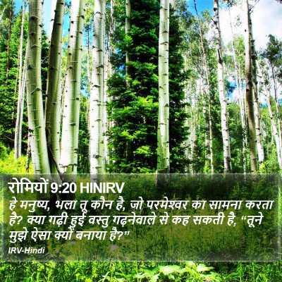 रोमियों 9:20 HINIRV Bible Verse Image