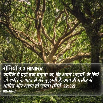 रोमियों 9:3 HINIRV Bible Verse Image