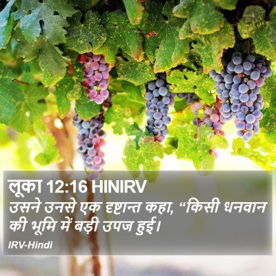 लूका 12:16 HINIRV Bible Verse Image