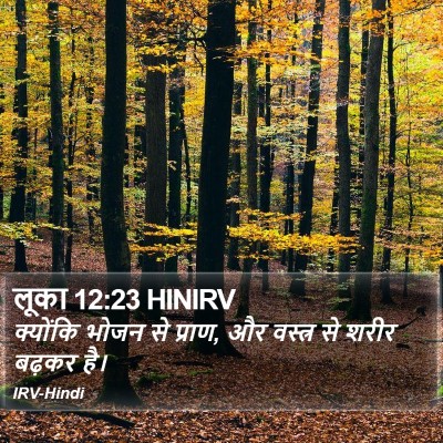 लूका 12:23 HINIRV Bible Verse Image
