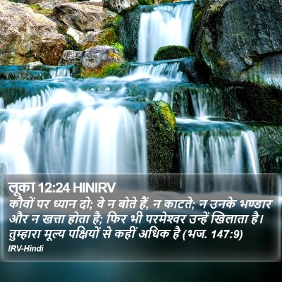 लूका 12:24 HINIRV Bible Verse Image