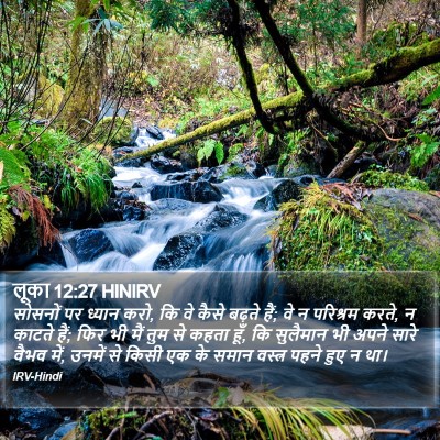 लूका 12:27 HINIRV Bible Verse Image