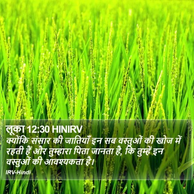 लूका 12:30 HINIRV Bible Verse Image