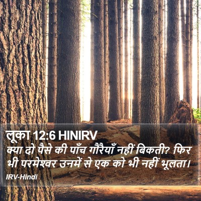 लूका 12:6 HINIRV Bible Verse Image