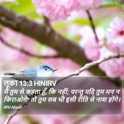लूका 13:3 HINIRV Bible Verse Image