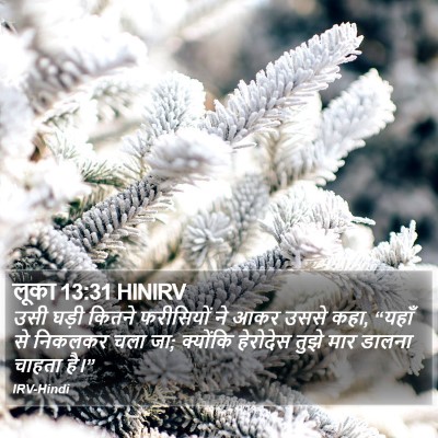 लूका 13:31 HINIRV Bible Verse Image