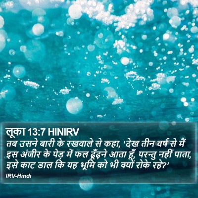 लूका 13:7 HINIRV Bible Verse Image
