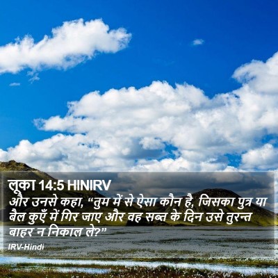 लूका 14:5 HINIRV Bible Verse Image