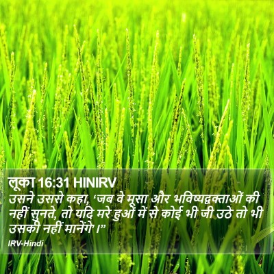लूका 16:31 HINIRV Bible Verse Image