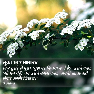 लूका 16:7 HINIRV Bible Verse Image