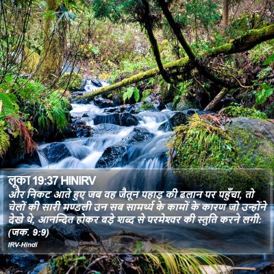 लूका 19:37 HINIRV Bible Verse Image