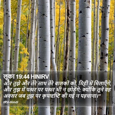 लूका 19:44 HINIRV Bible Verse Image