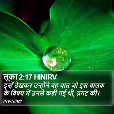लूका 2:17 HINIRV Bible Verse Image